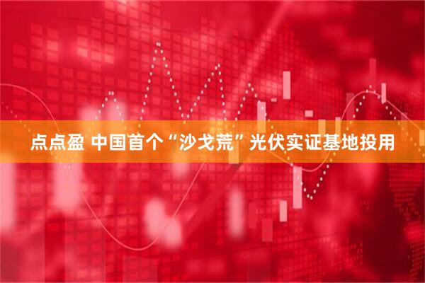 点点盈 中国首个“沙戈荒”光伏实证基地投用