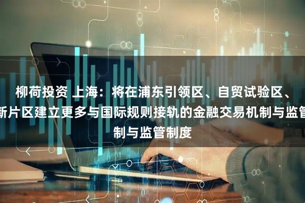柳荷投资 上海：将在浦东引领区、自贸试验区、临港新片区建立更多与国际规则接轨的金融交易机制与监管制度