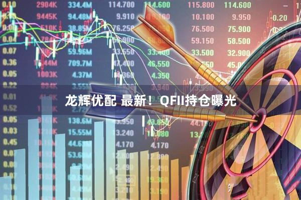 龙辉优配 最新！QFII持仓曝光