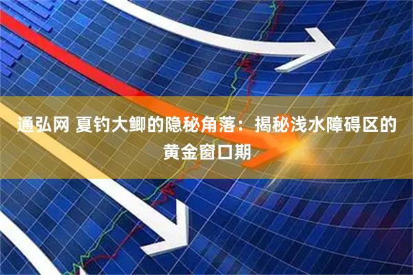 通弘网 夏钓大鲫的隐秘角落：揭秘浅水障碍区的黄金窗口期