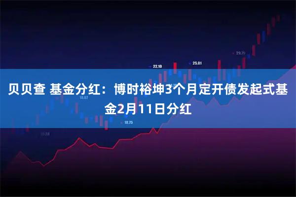 贝贝查 基金分红：博时裕坤3个月定开债发起式基金2月11日分红