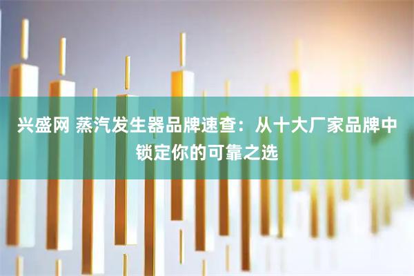 兴盛网 蒸汽发生器品牌速查：从十大厂家品牌中锁定你的可靠之选