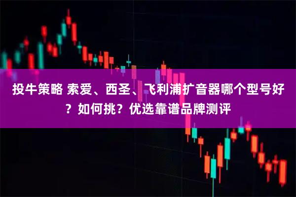 投牛策略 索爱、西圣、飞利浦扩音器哪个型号好？如何挑？优选靠谱品牌测评